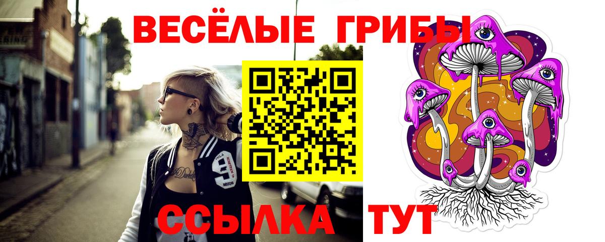 Галлюциногенные грибы MAGIC MUSHROOMS Шатура