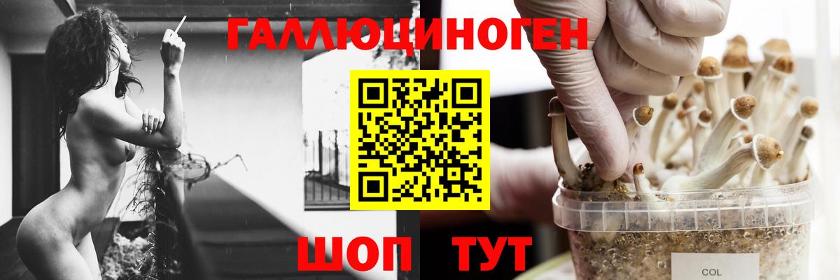 Шатура  Галлюциногенные грибы мицелий  Вход с VPN 